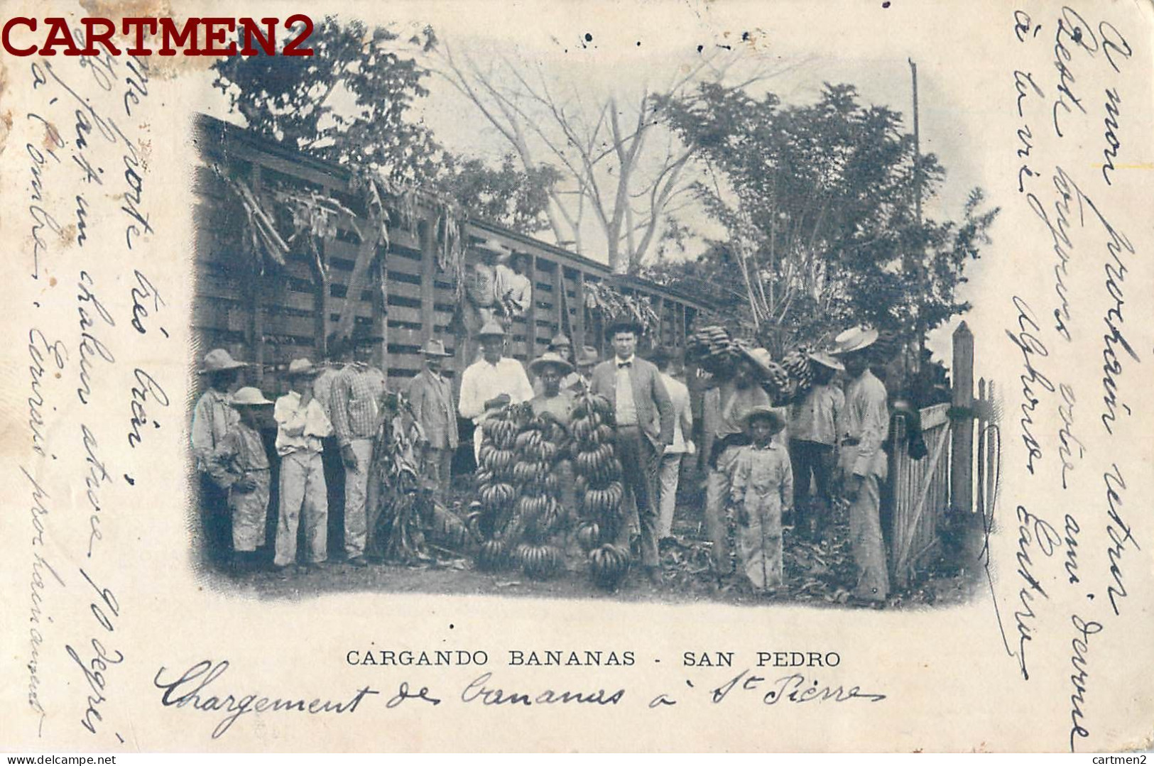 HONDURAS GARGANDO BANANAS SAN PEDRO