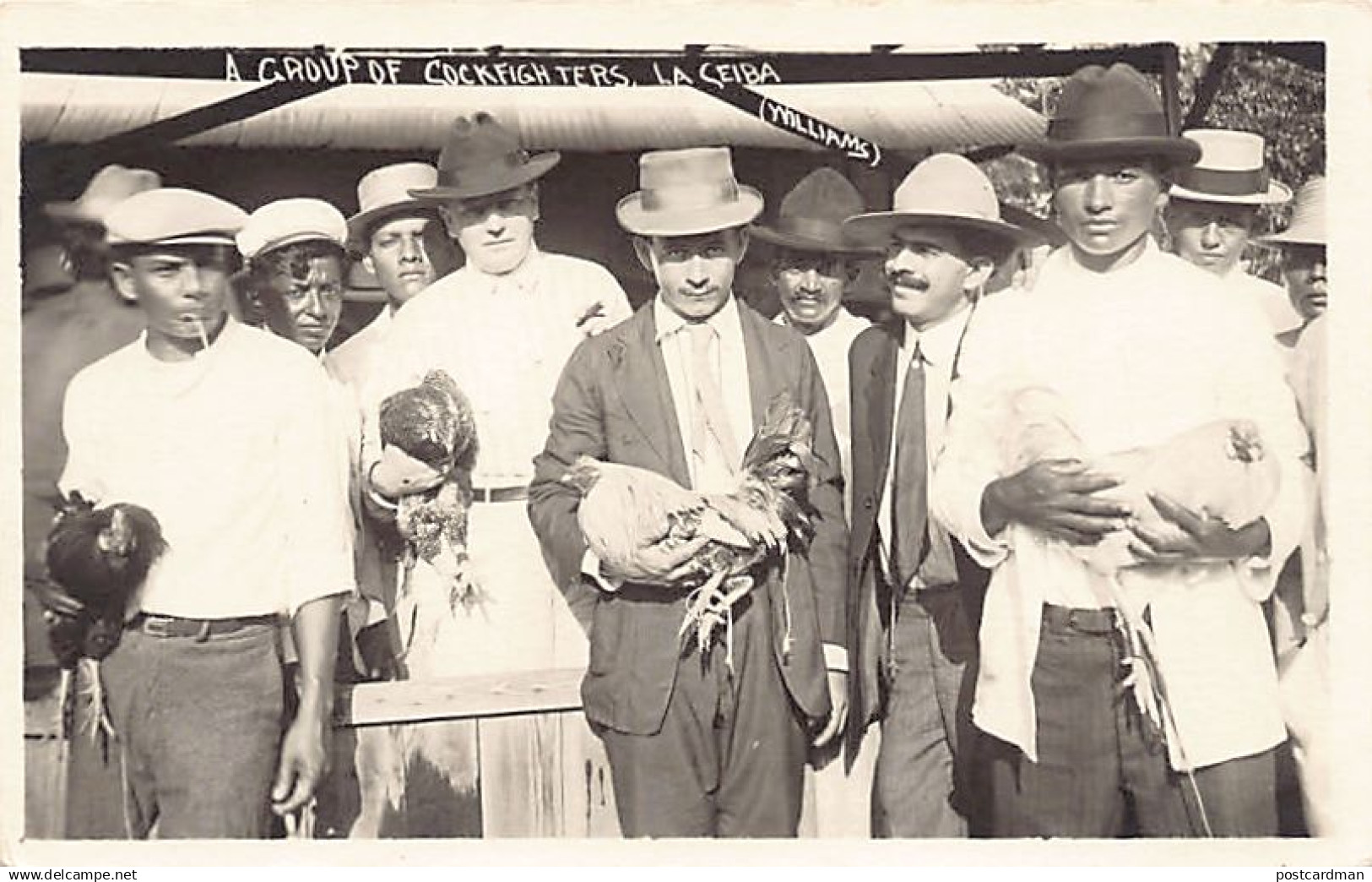 Honduras - LA CEIBA - A group of Cock fighters - REAL PHOTO Williams.