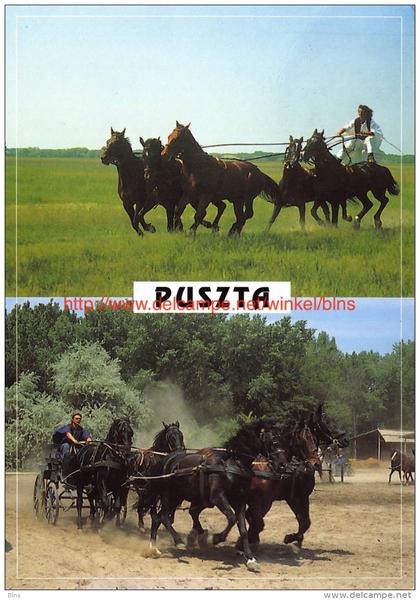 Puszta - Horses