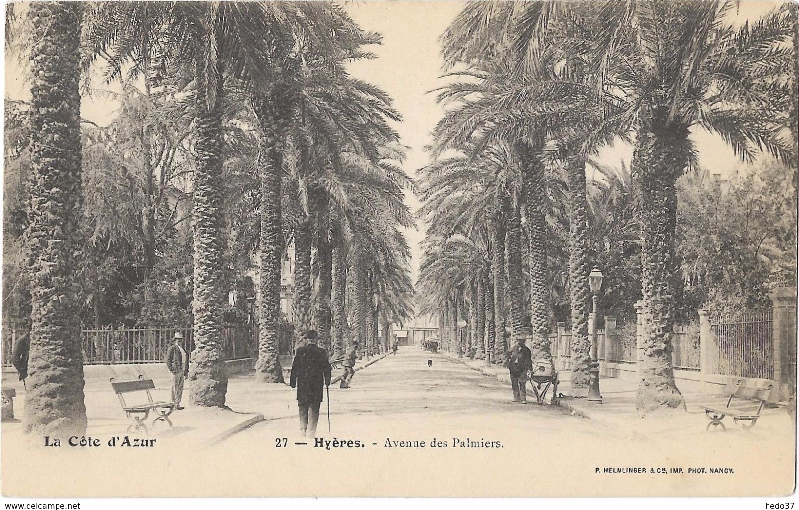 Hyères - Avenue des Palmiers