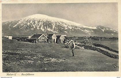 Islande - Malarrif - Snæfellsnes