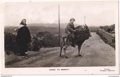 Going to market - & donkey