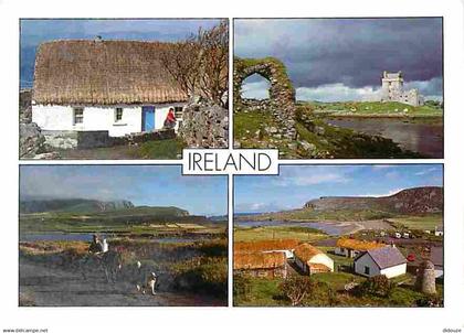 Irlande - Multivues - Chevaux - CPM - Voir Scans Recto-Verso