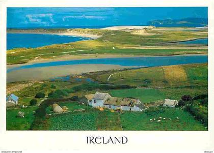 Irlande - Paysage irlandais - CPM - Voir Scans Recto-Verso