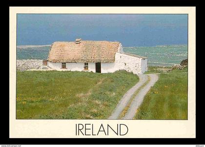 Irlande - Clare - Cottage - CPM - Voir Scans Recto-Verso