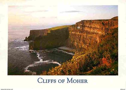 Irlande - Clare - The cliffs of Moher - CPM - Voir Scans Recto-Verso