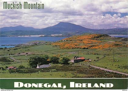 Irlande - Donegal - Muckish Mountain - Ireland - CPM - Voir Scans Recto-Verso