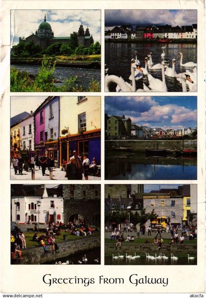 CPM AK Galway souvenir IRELAND (1440824)