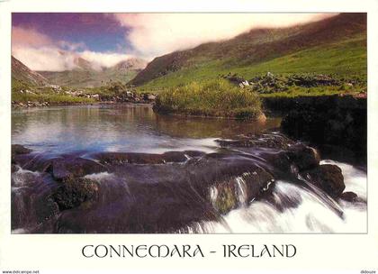 Irlande - Galway - Connemara - River - Rivière - CPM - Voir Scans Recto-Verso