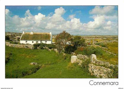 Irlande - Galway - Connemara - Thatched Cottage - CPM - Voir Scans Recto-Verso