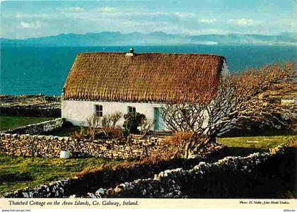 Irlande - Galway - Irish Thatched Cottage - CPM - Voir Scans Recto-Verso