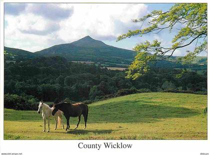 Irlande - Wicklow - County Wicklow - CPM - Voir Scans Recto-Verso