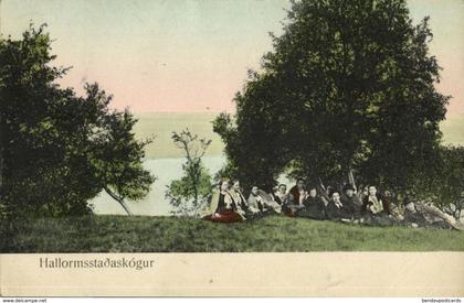 iceland, HALLORMSSTAÐASKÓGUR, View with People (1910s) Postcard