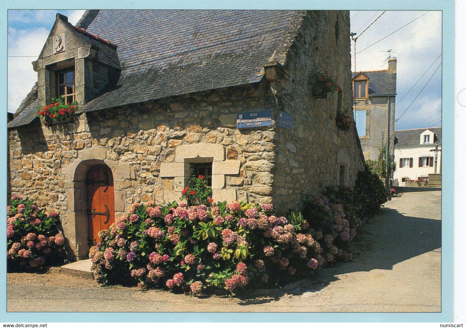 Ile d'Arz Maison du Bourg hortensias