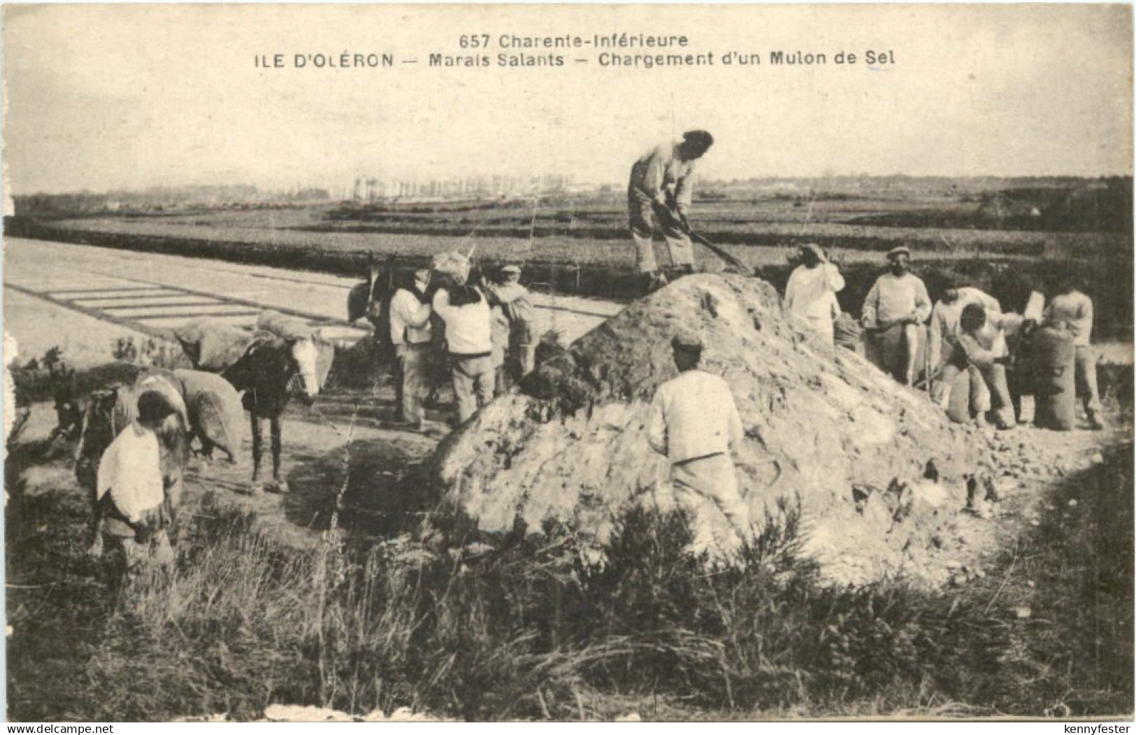 Ile d Oleron - Marais Salants