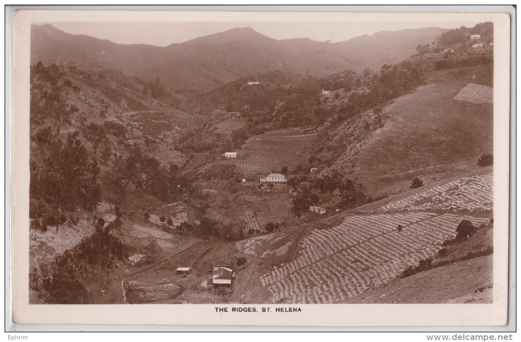 Île Sainte-Hélène - Saint Helena Island - The Ridges