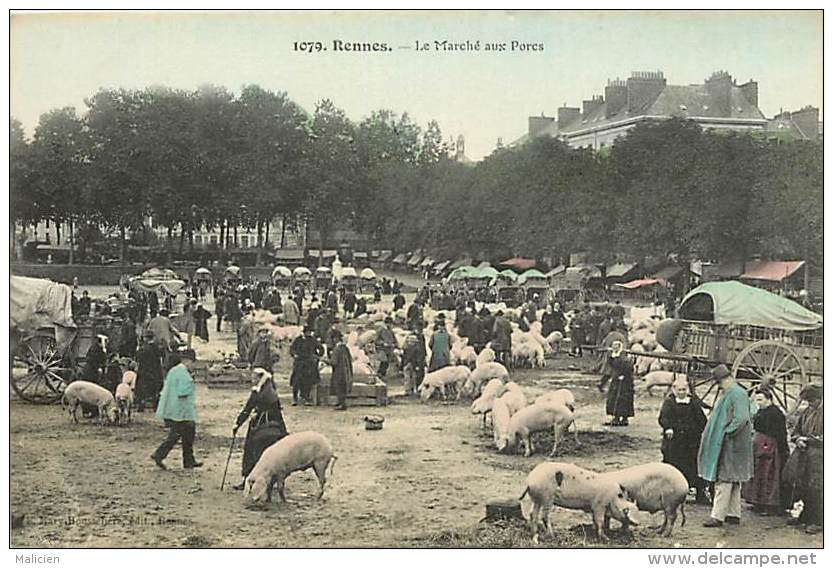 - ille et vilaine -ref B811bis - rennes - le marche aux porcs - porc - carte colorisee bon etat -