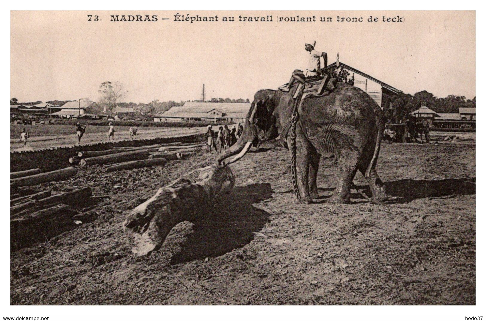 Inde - Madras - Eléphant au travail