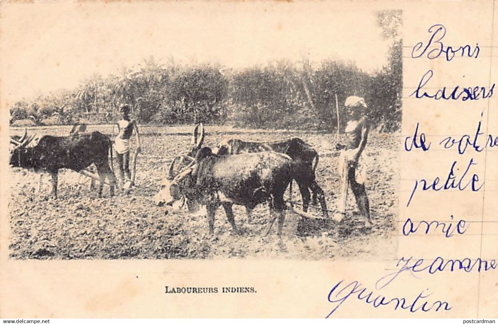 India - Indian ploughmen