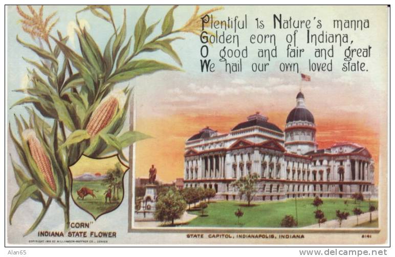 Indiana State Capitol Building , State Flower Corn, Indianapolis IN on c1910s Vintage  Postcard