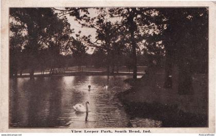 South Bend Leeper Park Indiana USA Swans River Old Postcard