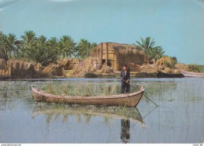 IRAQ - SUD IRAQ - MARSHLANDS