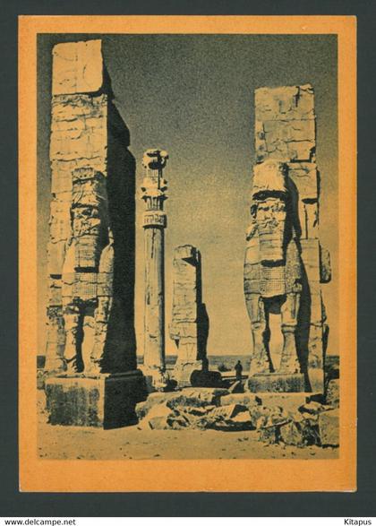 Propolis of the Palace of Darius and Persepolis vintage postcard Iran