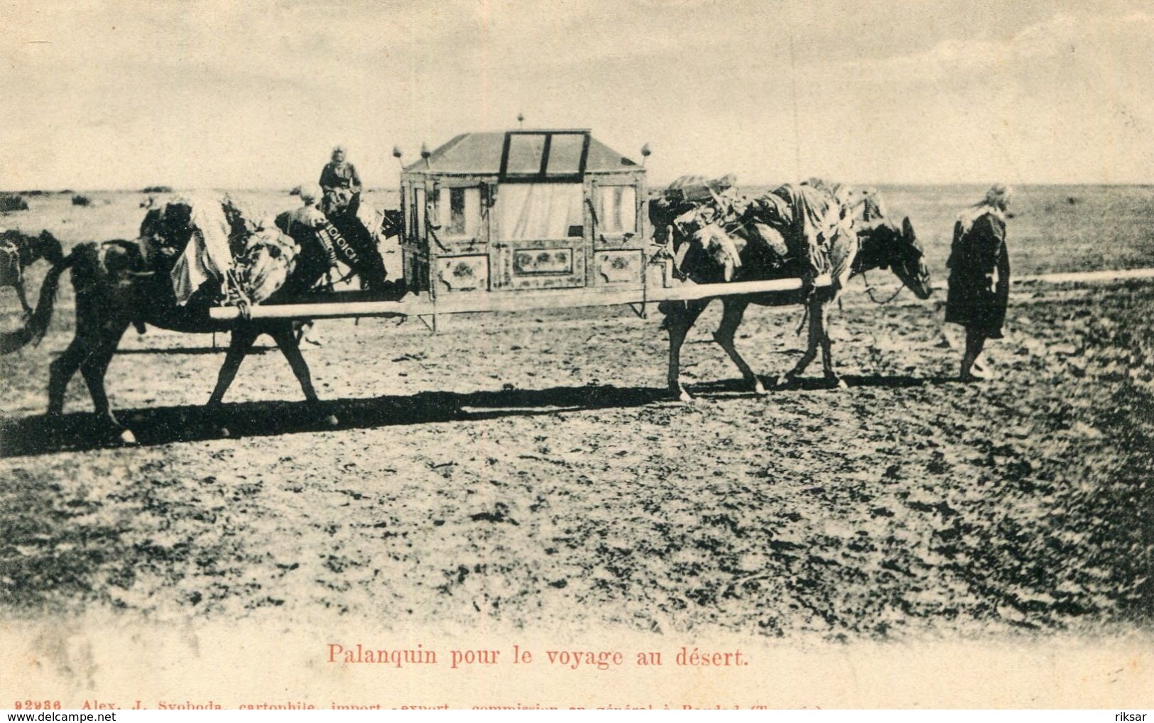 IRAQ(PALANQUIN)