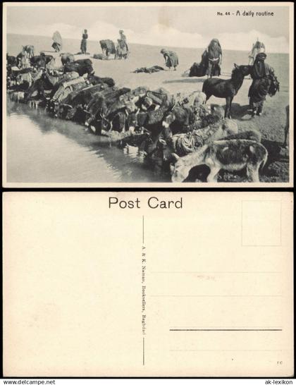 Postcard Irak Allgemein A daily routine Iraq Tiere Oase 1922