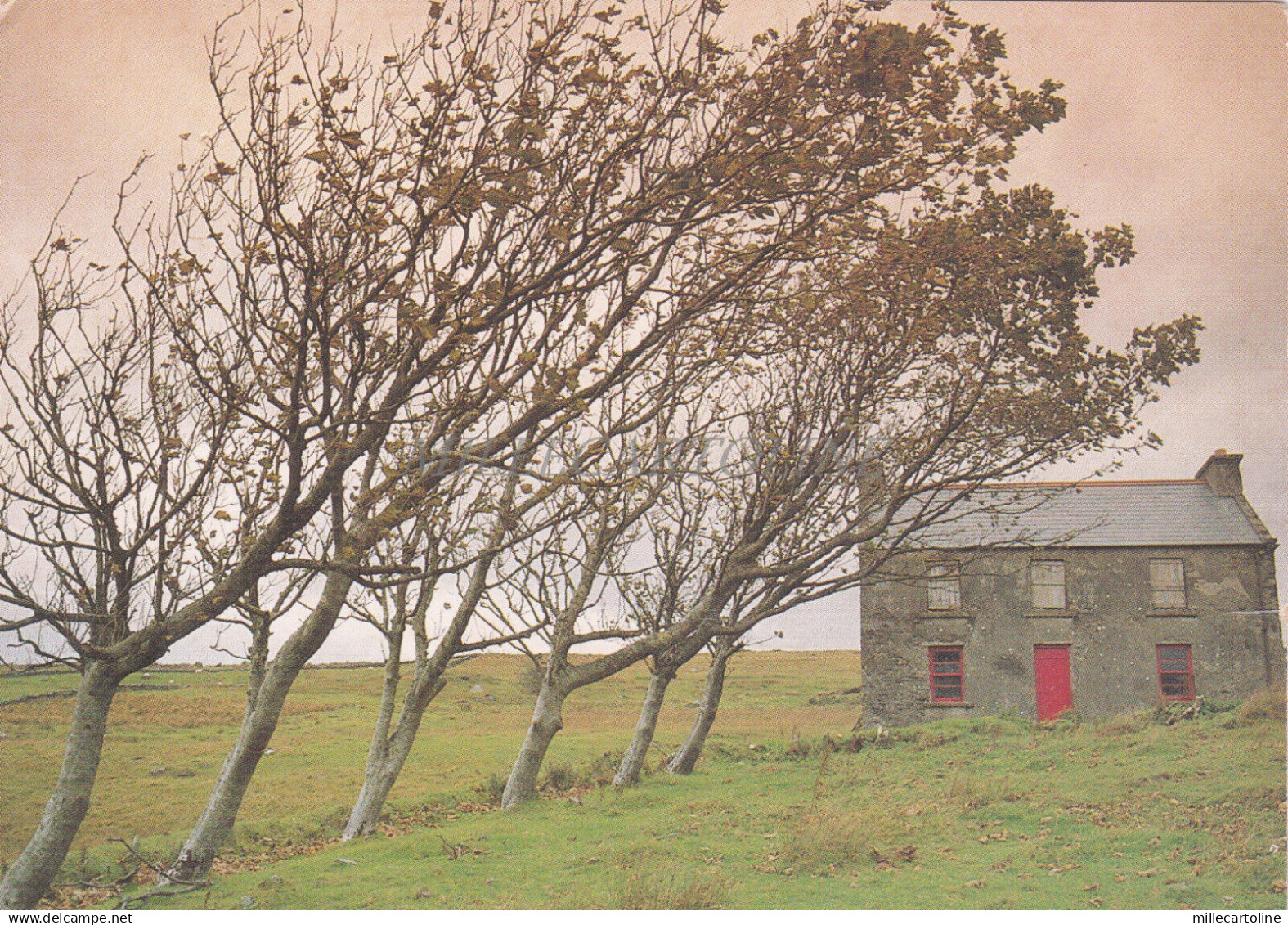 IRELAND - Glencolombkille, Donegal, Irish Cottage