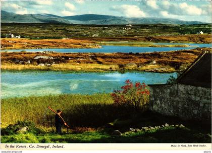 CPM AK Donegal in the Rosses IRELAND (1440704)