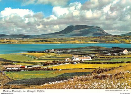 IRLAND DONEGAL MUCKISH