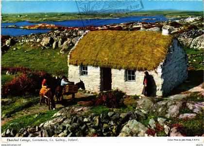 CPM AK Galway Thatched cottage IRELAND (1440799)