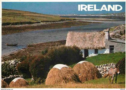 Irlande - Galway - Connemara - Anes - irish Cottage - CPM - Voir Scans Recto-Verso