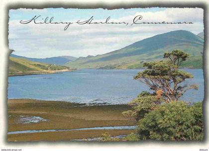 Irlande - Galway - Connemara - Killary Harbour - CPM - Voir Scans Recto-Verso