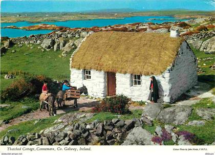 Irlande - Galway - Connemara - Thatched Cottage - Anes - CPM - Voir Scans Recto-Verso