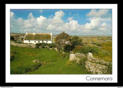 Irlande - Galway - Connemara - Thatched Cottage - CPM - Voir Scans Recto-Verso