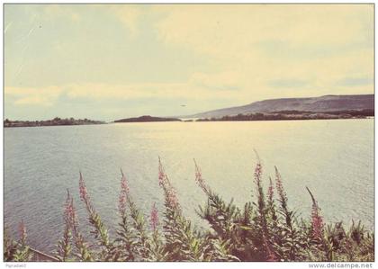 cp , IRLANDE , FERMANAGH , Lower Lough Erne