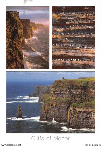 IRLANDE IRLANDE CLIFFS OF MOHER