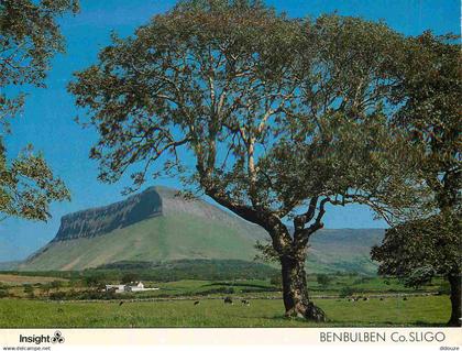 Irlande - Sligo - Benbulben - Ireland - Irlanda - CPM - Voir Scans Recto-Verso