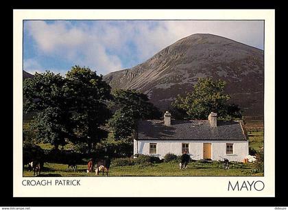 Irlande - Wexford - Croagh Patrick - Vaches - Carte Neuve - Ireland - CPM - Voir Scans Recto-Verso