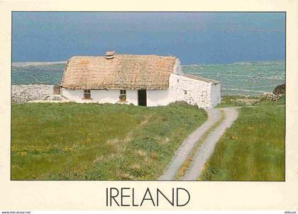 Irlande - Clare - Cottage - CPM - Voir Scans Recto-Verso