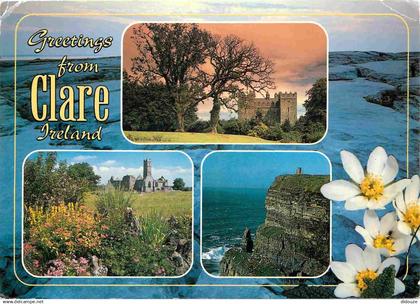 Irlande - Clare - Multivues - Fleurs - CPM - Voir Scans Recto-Verso