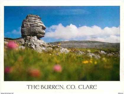 Irlande - Clare - The Burren - Ireland - Irlanda - CPM - Voir Scans Recto-Verso