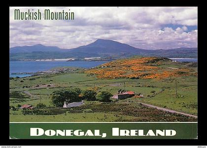 Irlande - Donegal - Muckish Mountain - Ireland - CPM - Voir Scans Recto-Verso