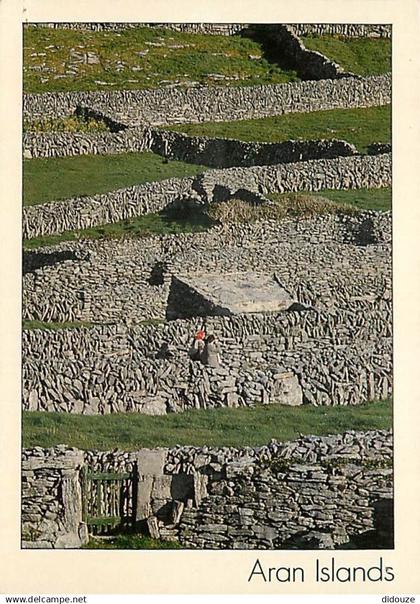 Irlande - Galway - Aran Islands - Murets en pierres - Ireland - CPM - Voir Scans Recto-Verso