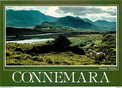 Irlande - Galway - Connemara - Maam Valley - Chevaux - CPM - Voir Scans Recto-Verso