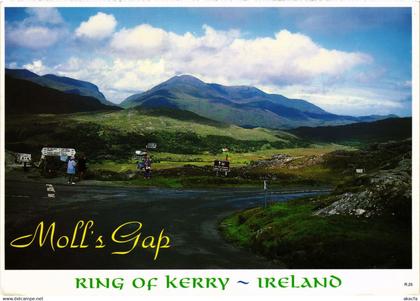 CPM AK Kerry Ring of Kerry IRELAND (1440870)