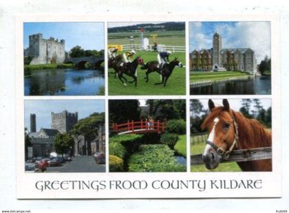 AK 223928 IRELAND - County Kildare