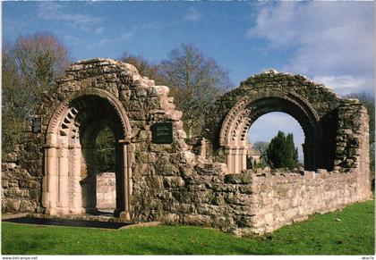 CPM AK Offaly Clonmacnois IRELAND (1441087)